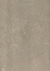 CK 319 C X2